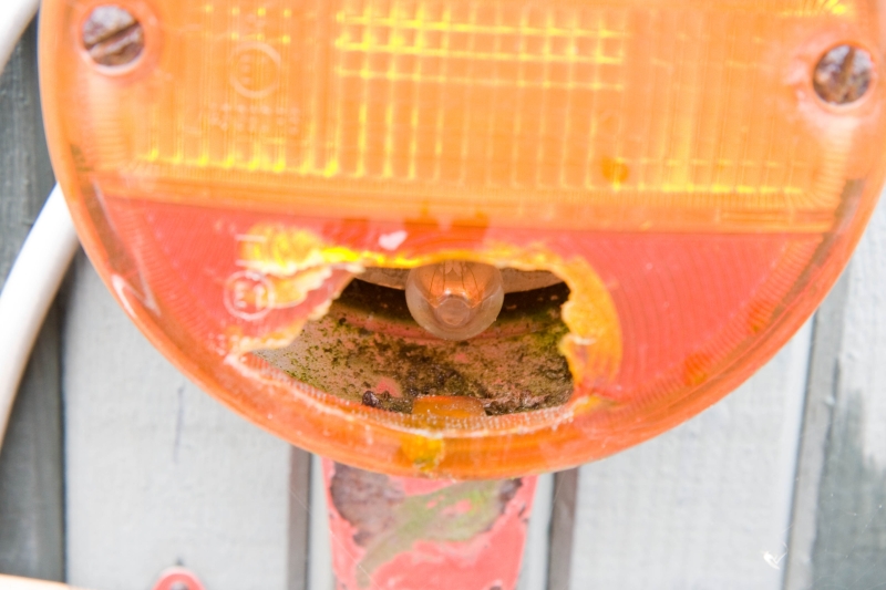 Fordon-Maskiner 2008_58.jpg